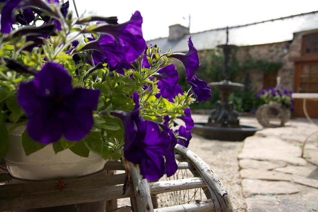 Bed and Breakfast Relais Saint Aubin Эрки Экстерьер фото